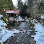 Gozdni Raj Rogla