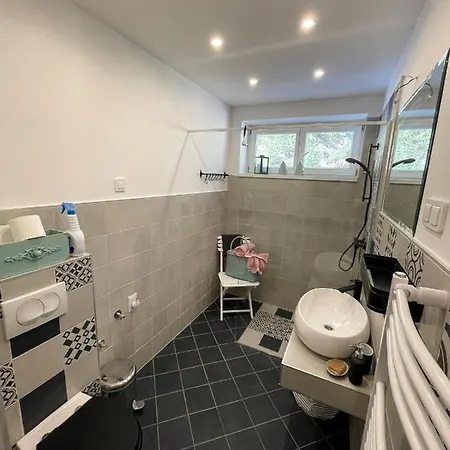 Apartman Gozdni Raj Rogla Oplotnica