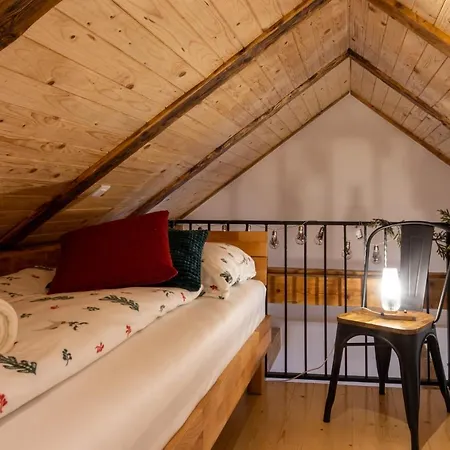 Gozdni Raj Rogla Apartment Oplotnica