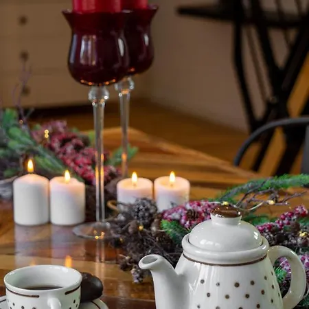 Gozdni Raj Rogla * Oplotnica