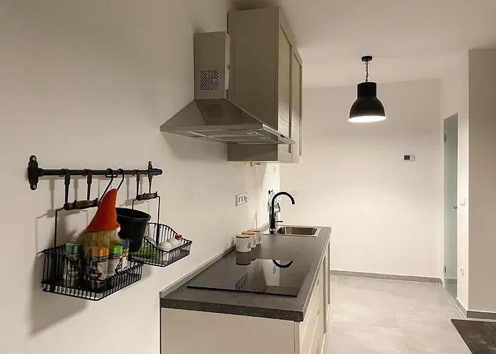 Gozdni Raj Rogla * Oplotnica