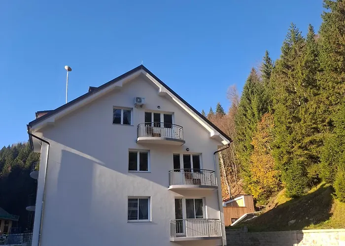 Gozdni Raj Rogla Apartment *